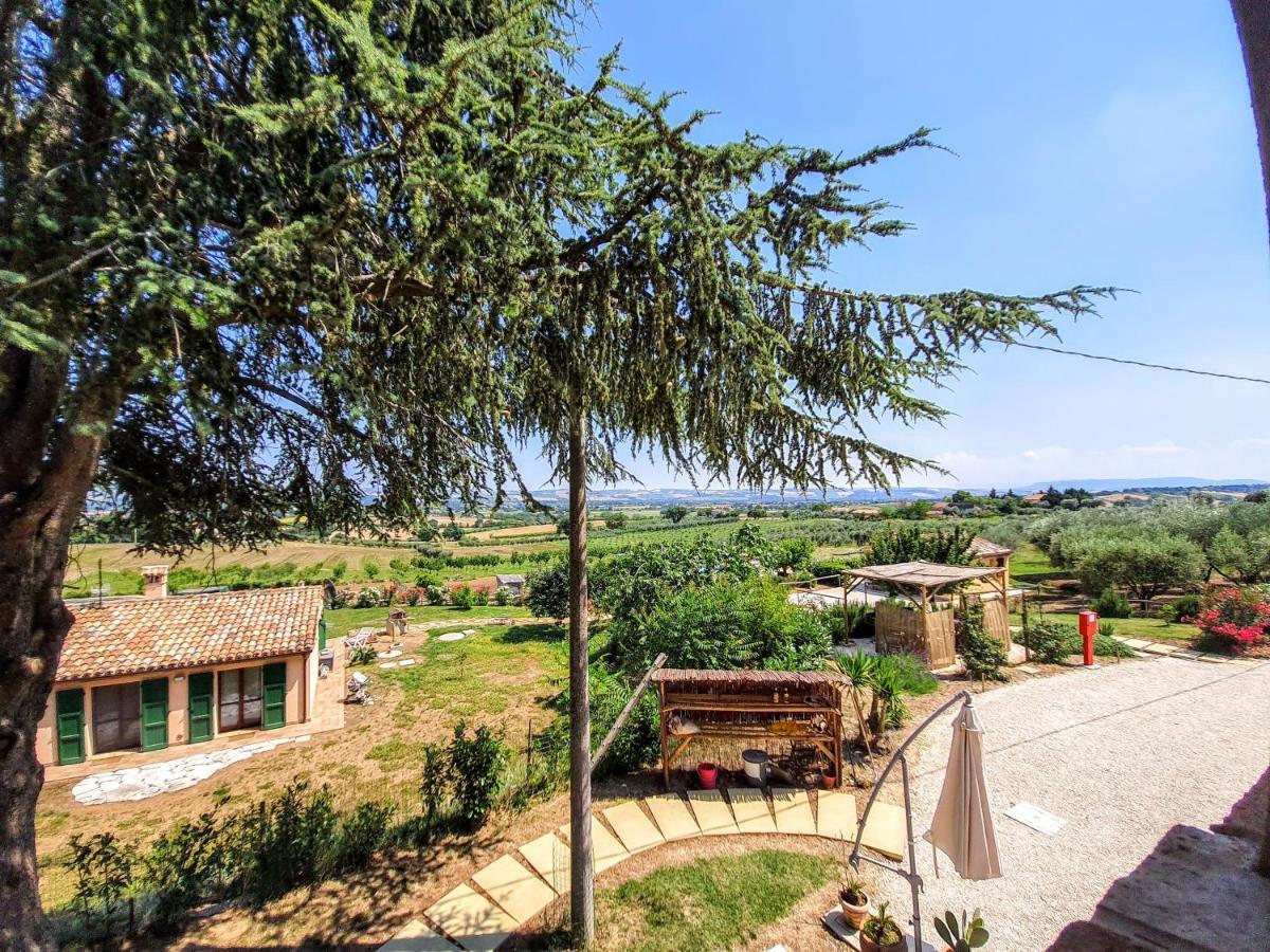 Agriturismo Rosa Antica Monte San Vito Kültér fotó