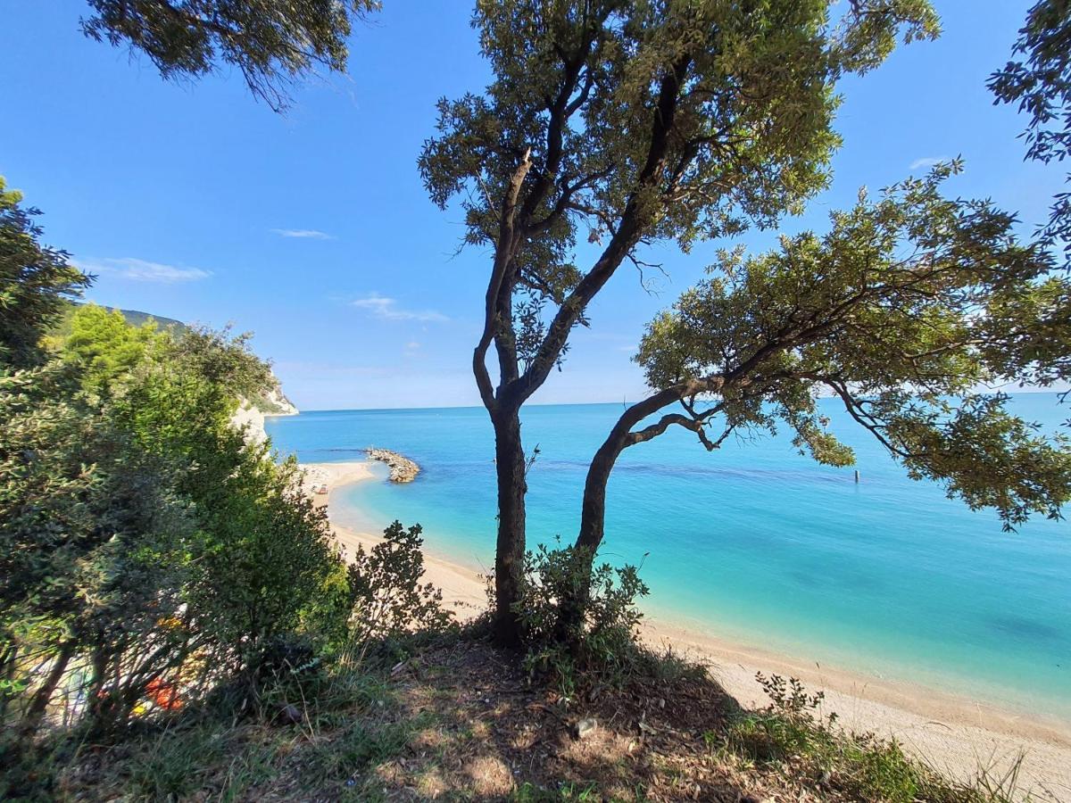 Agriturismo Rosa Antica Monte San Vito Kültér fotó