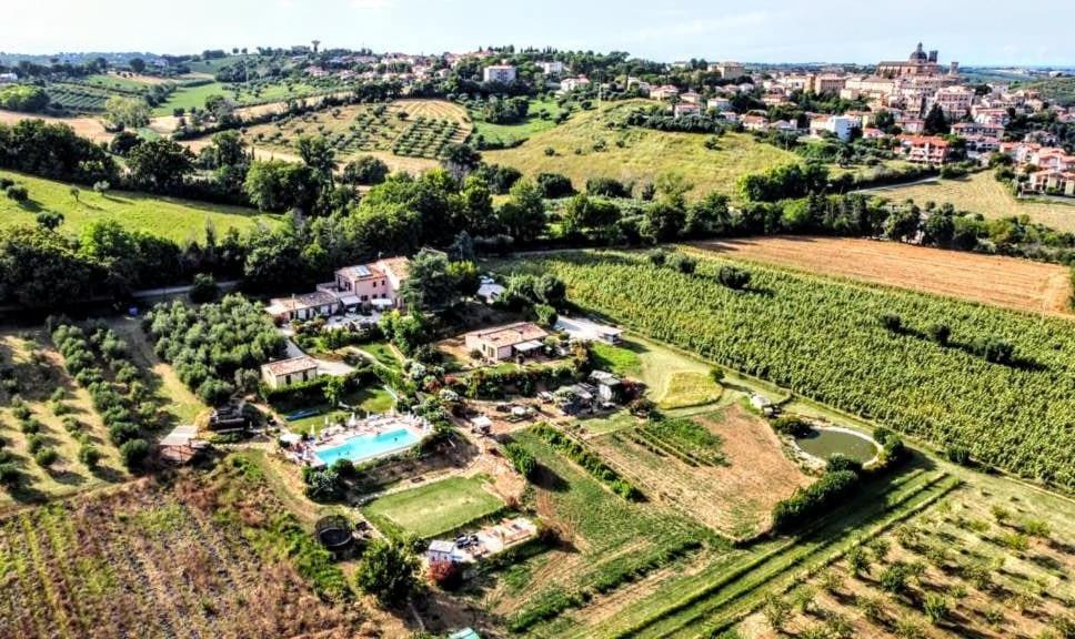 Agriturismo Rosa Antica Monte San Vito Kültér fotó