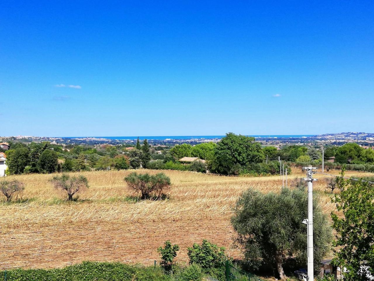 Agriturismo Rosa Antica Monte San Vito Kültér fotó