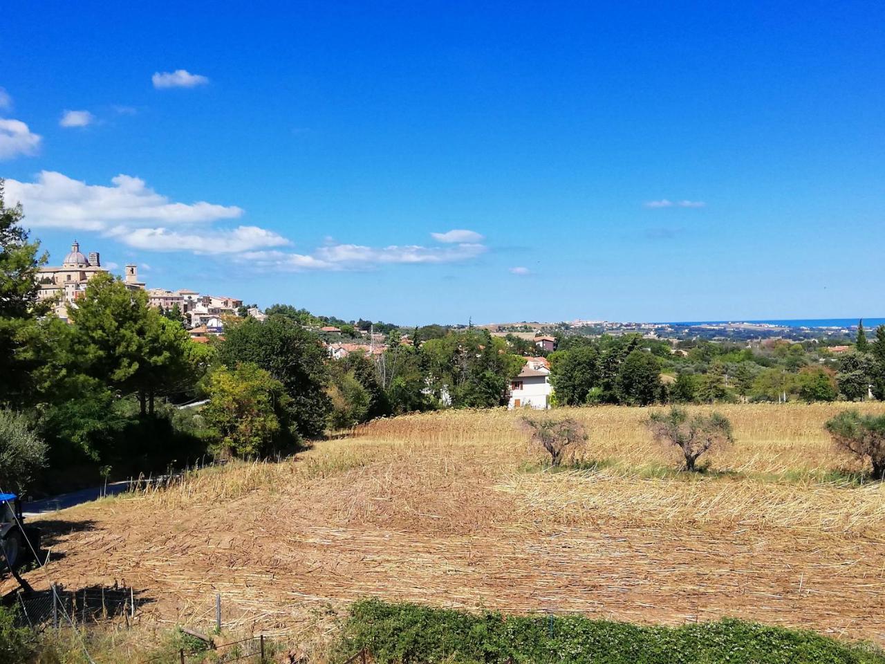 Agriturismo Rosa Antica Monte San Vito Kültér fotó