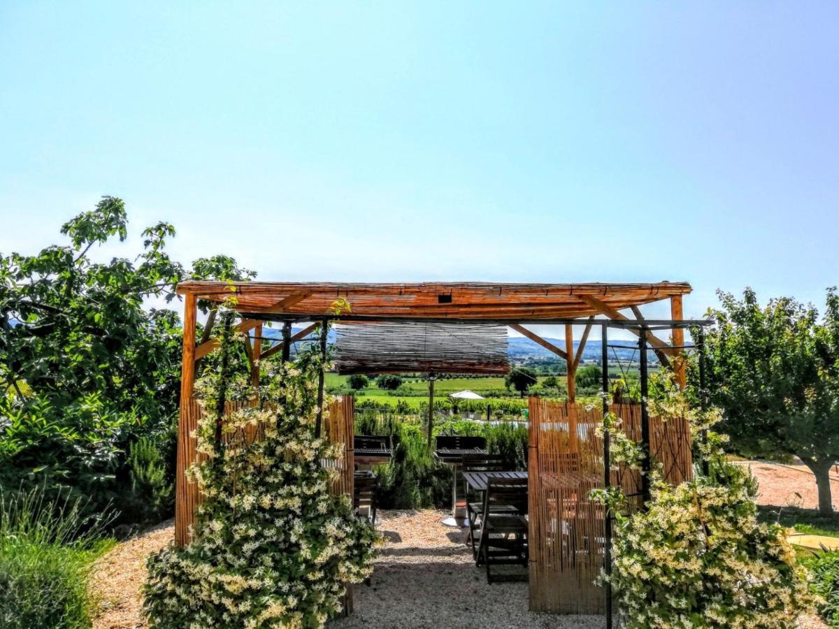 Agriturismo Rosa Antica Monte San Vito Kültér fotó